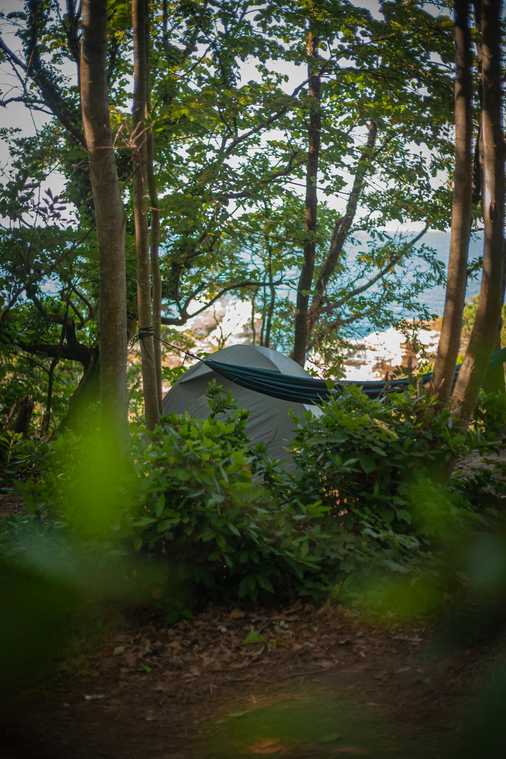 Relaxing campsite with tent and hammock amidst lush forest by seaside.